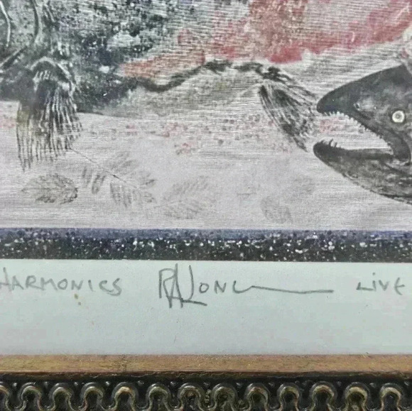 Chinook Salmon framed print - Picture 7 of 10